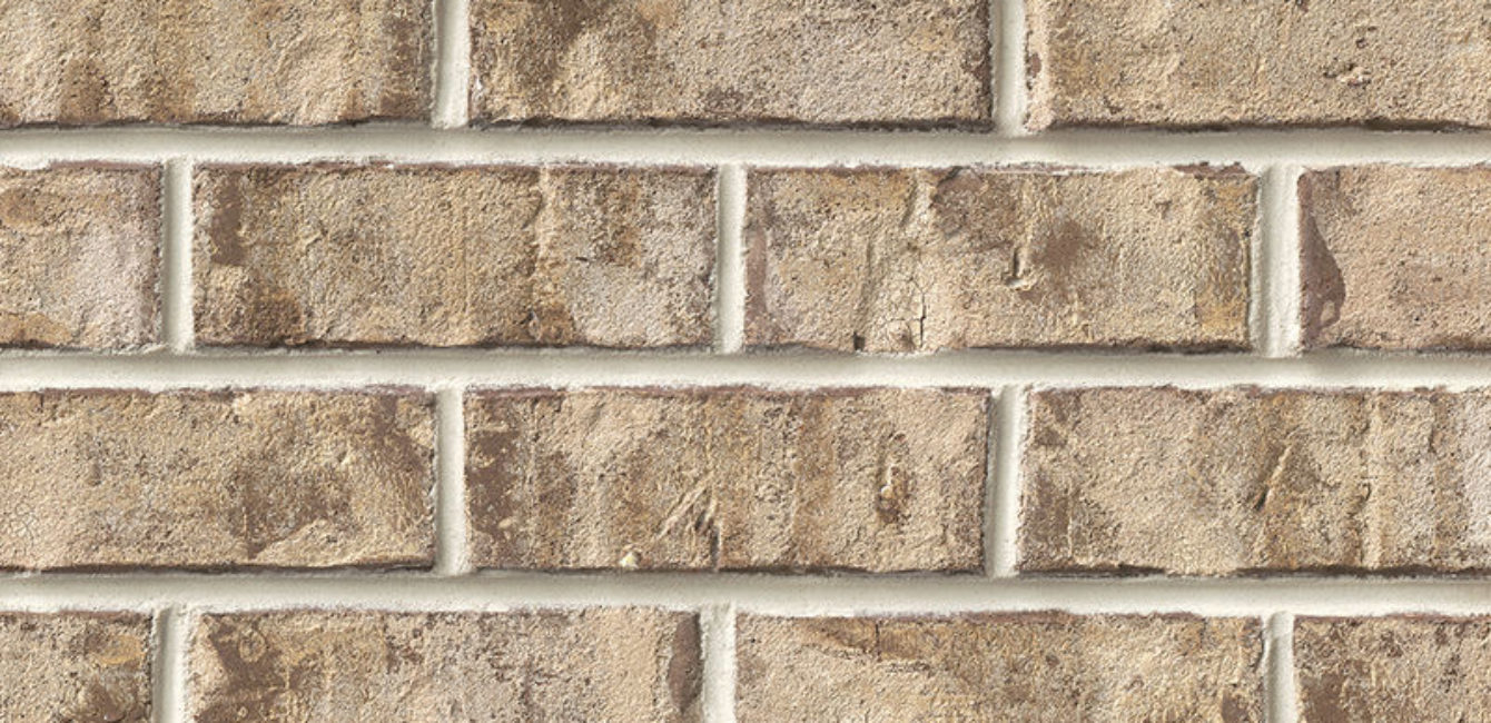 Web-Swatch-OLD BISCAYNE