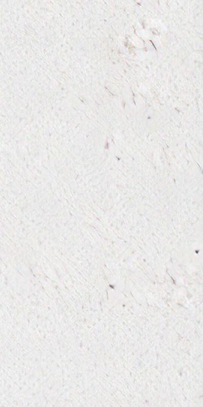 Limestone Elevation brick swatch