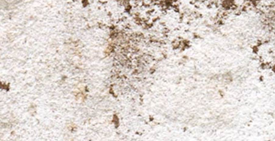 Bradford Hall brick swatch