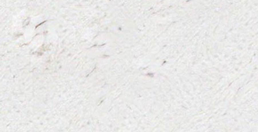 Elevation Limestone brick swatch