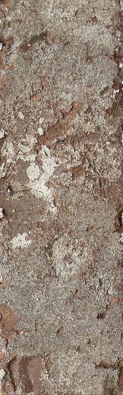 Hometown brick swatch